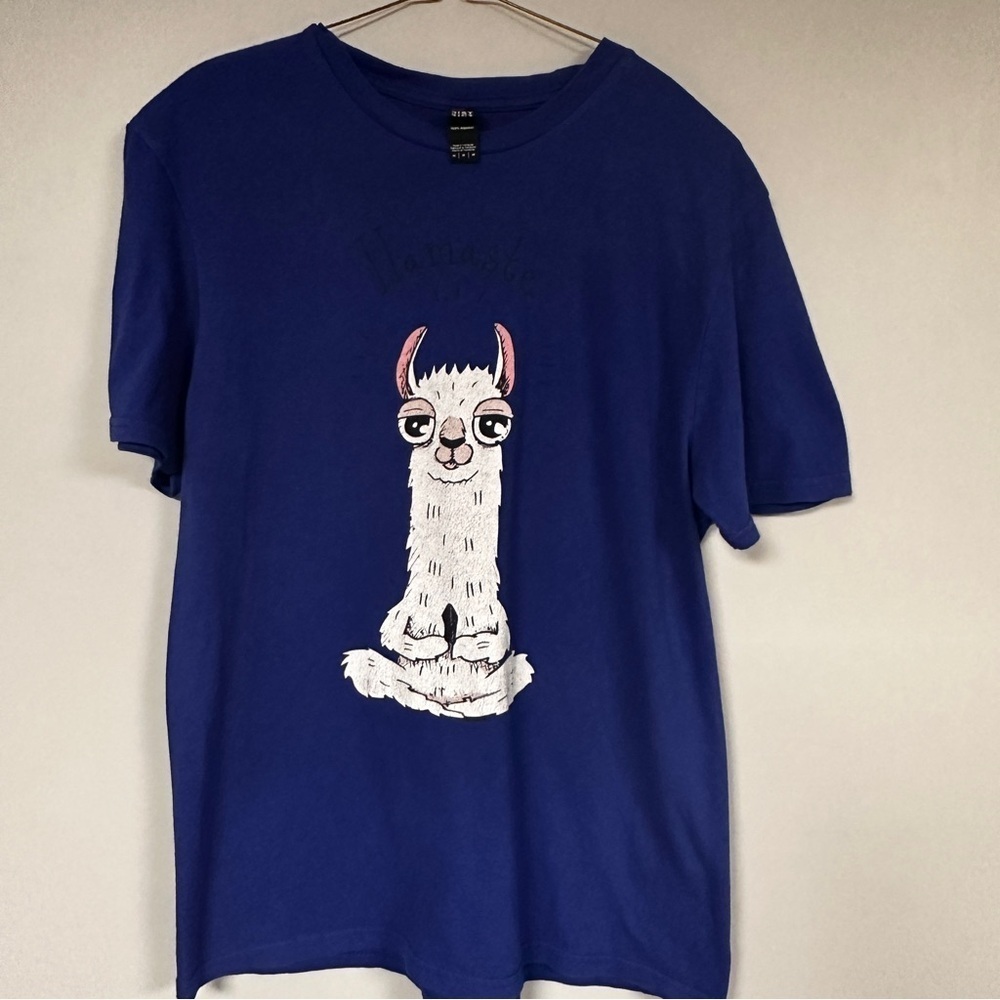 District Concert 'Lamaste' lama graphic Blue Cotton tee, M, Extra Long